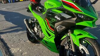Kawasaki Ninja 500 SE (2024 - 25) usata