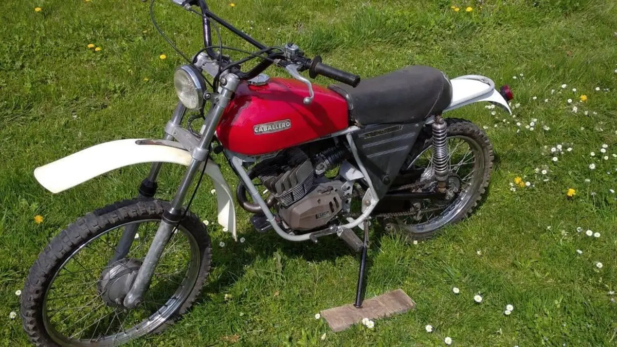 Fantic Motor   (2)