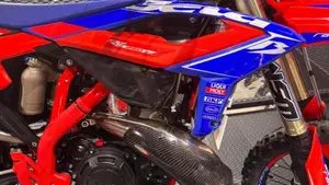 Betamotor RR 250 2T Enduro Racing (2023)  (5)