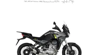Moto Guzzi Stelvio (2024 - 26) usata