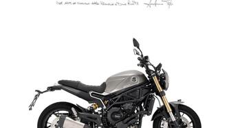 Benelli Leoncino 800 (2022 - 25) nuova