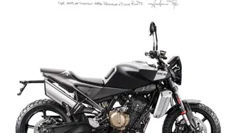 Husqvarna Svartpilen 801 (2024 - 26) nuova