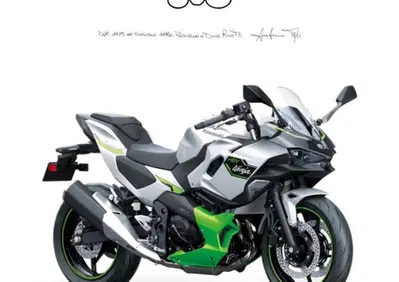 Kawasaki Ninja 7 Hybrid (2024 - 26) - Annuncio 9556796