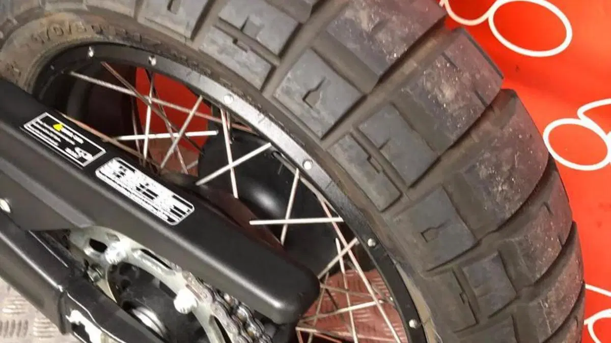Benelli Leoncino 800 (2022 - 26)  (5)