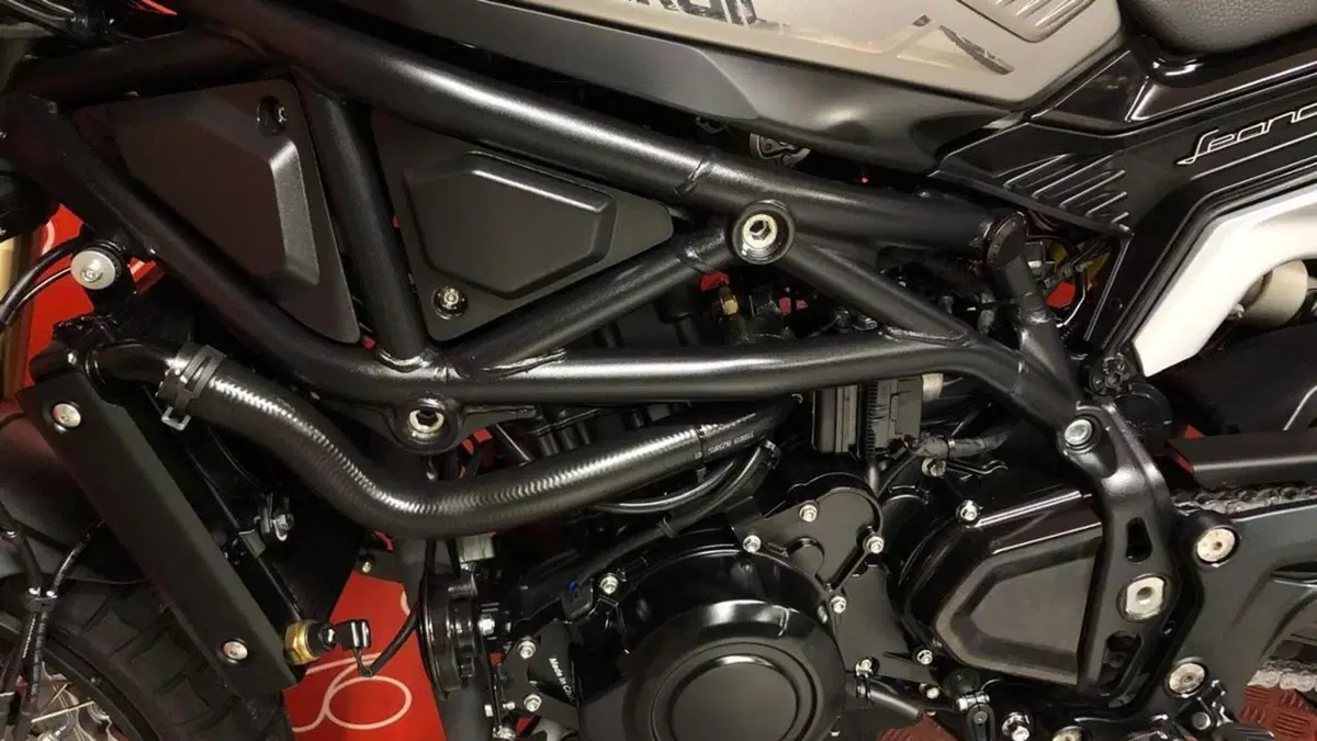 Benelli Leoncino 800 (2022 - 26)  (7)