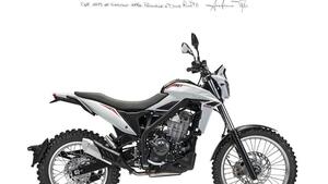 Betamotor Alp X (2024 - 25) 
