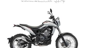 Betamotor Alp X (2024 - 25) nuova