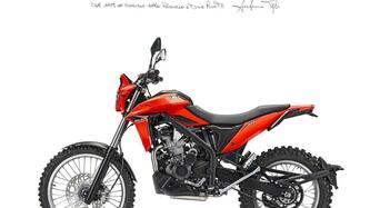 Betamotor Alp 4.0 (2024 - 25) nuova