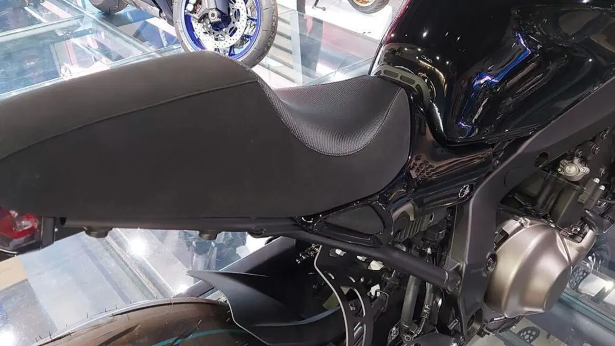 Yamaha XSR 900 (2022 - 24)  (16)