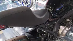 Yamaha XSR 900 (2022 - 24)  (16)