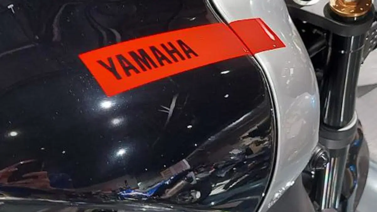 Yamaha XSR 900 (2022 - 24)  (15)