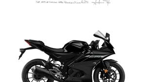 Yamaha YZF R125 (2023 - 25) 