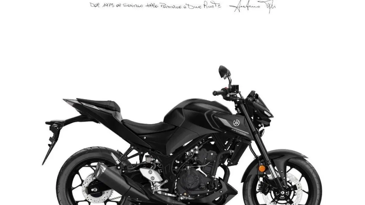 Yamaha MT-03 (2022 - 24) 