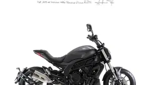 Benelli 502 C (2021 - 25) 