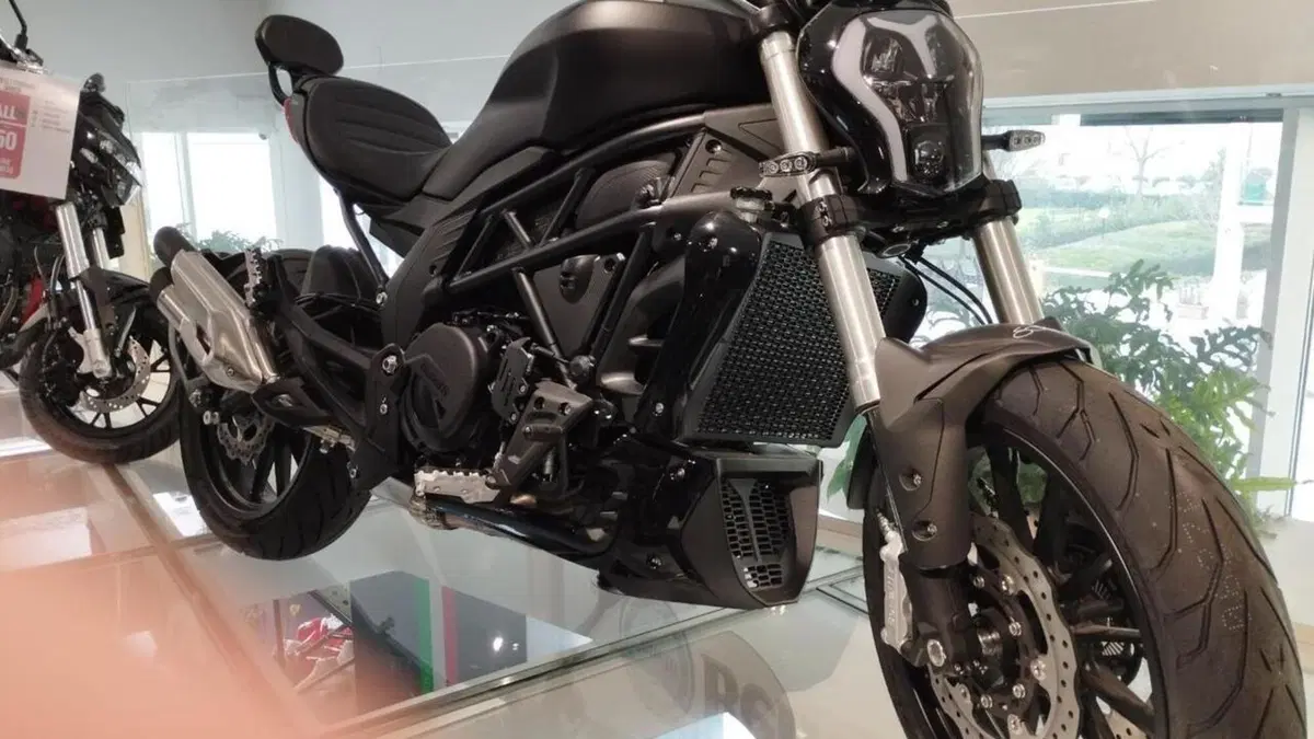 Benelli 502 C (2021 - 25)  (4)