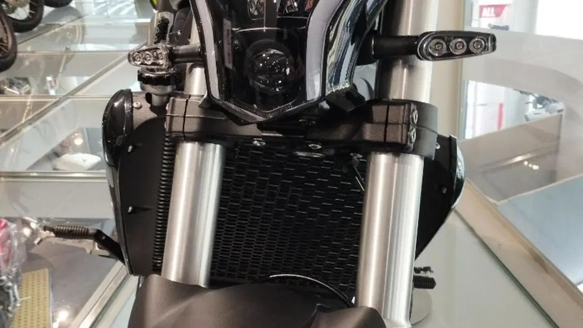 Benelli 502 C (2021 - 25)  (6)