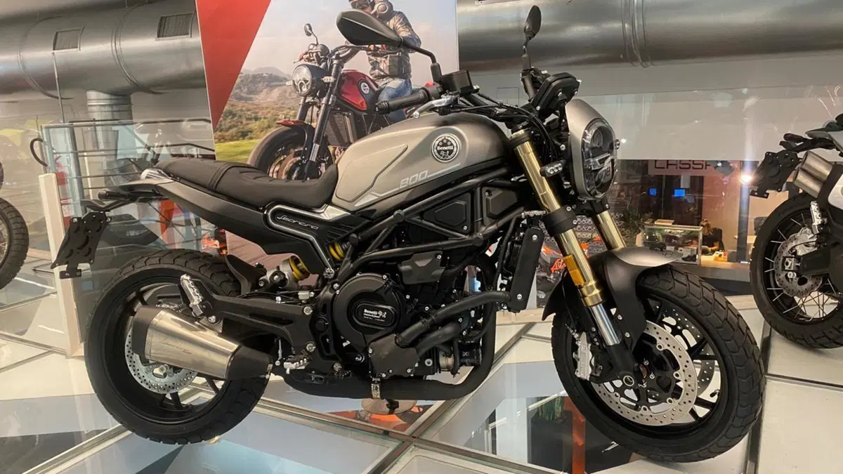 Benelli Leoncino 800 (2022 - 26)  (4)