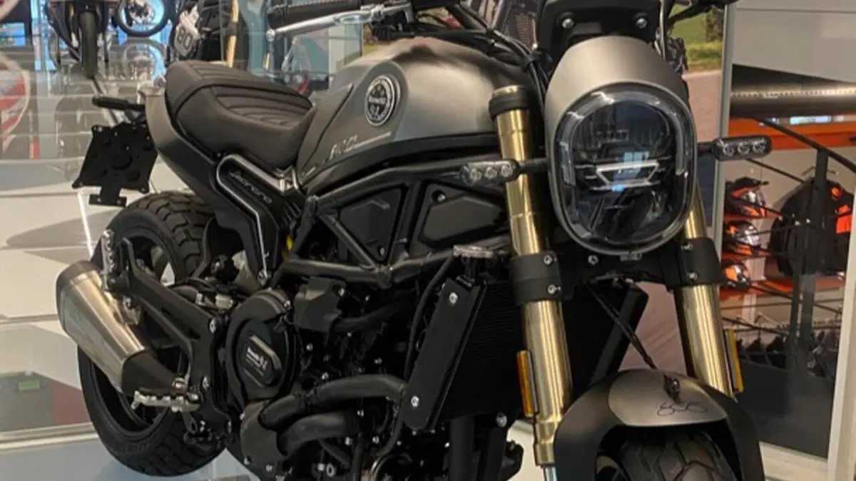 Benelli Leoncino 800 (2022 - 26)  (5)