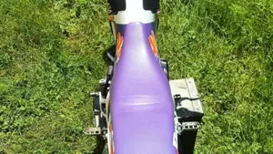 Betamotor Alp 250 (1996)  (2)
