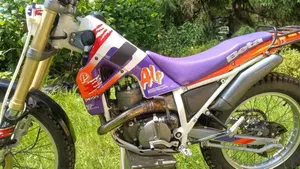 Betamotor Alp 250 (1996)  (8)