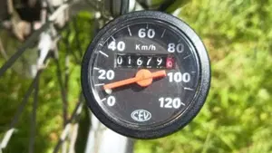 Betamotor Alp 250 (1996)  (10)