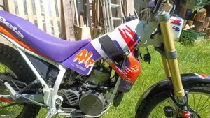 Betamotor Alp 250 (1996)  (9)