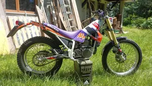 Betamotor Alp 250 (1996)  (3)