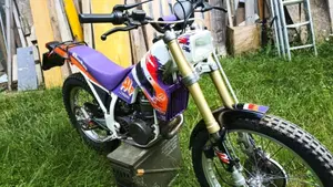 Betamotor Alp 250 (1996)  (4)