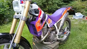 Betamotor Alp 250 (1996)  (5)