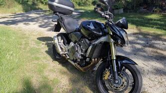 Honda Hornet 600 (2007 - 10) usata