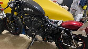 Harley-Davidson 1200 Roadster (2017 - 20) - XL 1200R usata