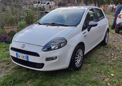 Fiat Punto 1.2 8V 5 porte Young
