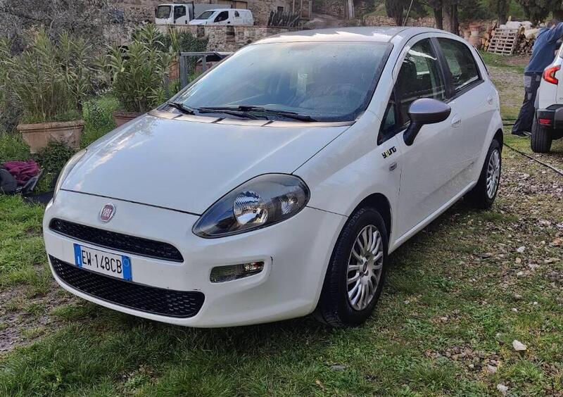 Fiat Punto 1.2 8V 5 porte Young