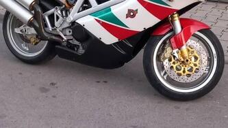 Bimota DB4 900 (1998 - 02) usata