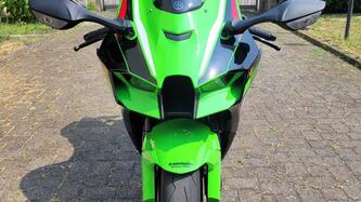 Kawasaki Ninja 1000 ZX-10R (2021 - 25)