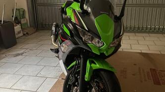 Kawasaki Ninja 650 Performance (2021 - 24) usata