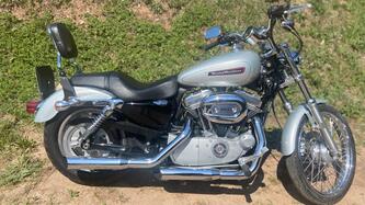 Harley-Davidson 883 Custom (2008 - 12) - XL 883C
