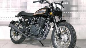 Mash Italia Dirt Track 650 (2019 - 20) 
