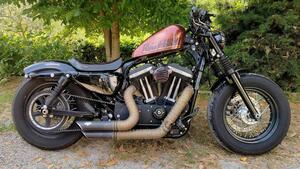 Harley-Davidson 1200 Forty-Eight (2010 - 15) 