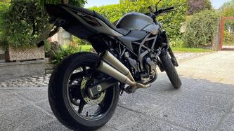 Suzuki SV 650 X (2018 - 20)