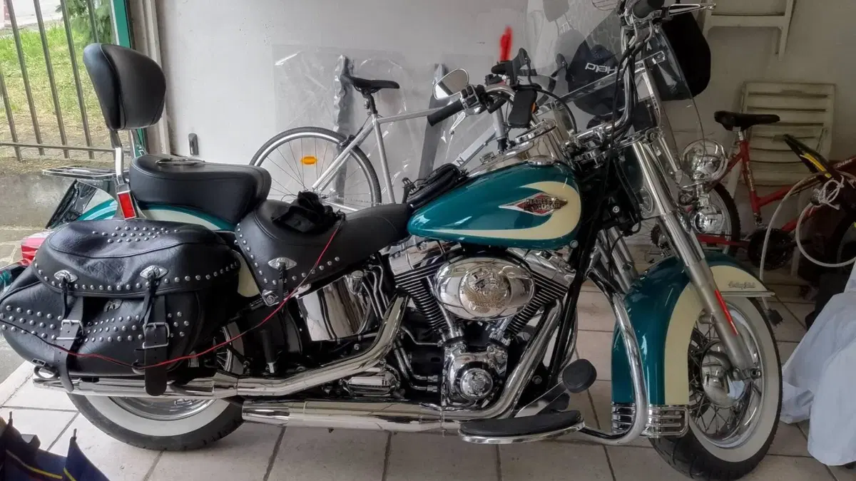 Harley-Davidson 1584 Heritage Classic (2008 - 10) - FLSTC  (5)