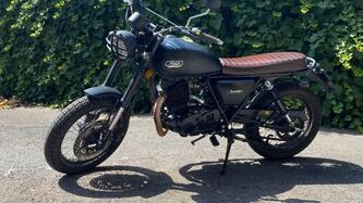 Mash Italia Two Fifty 250 (2021 - 25)