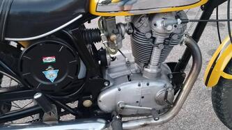 Ducati 