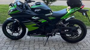 Kawasaki Ninja 300 ABS (2012 - 16) 