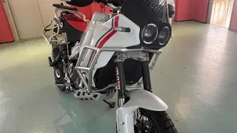 Ducati DesertX (2022 - 25) usata