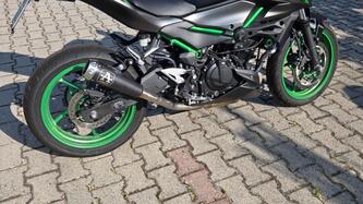 Kawasaki Z 500 SE (2024 - 25)