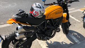 Ducati Scrambler 1100 Tribute Pro (2022 - 24) 