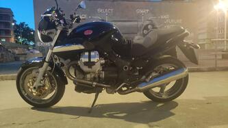Moto Guzzi Breva 850 (2006 - 11) usata