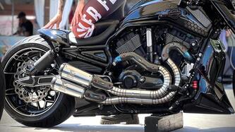 Harley-Davidson 1250 V-Rod Muscle (2009 - 17) - VRSCF usata