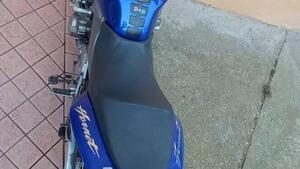 Honda Hornet 600 (2000 - 02) 